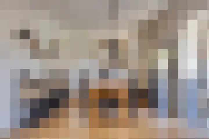 Groot Kraaivenstraat 2 a Goirle thumbnail 14