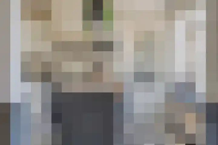 Groot Kraaivenstraat 2 a Goirle thumbnail 16