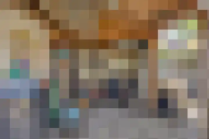 Groot Kraaivenstraat 2 a Goirle thumbnail 38