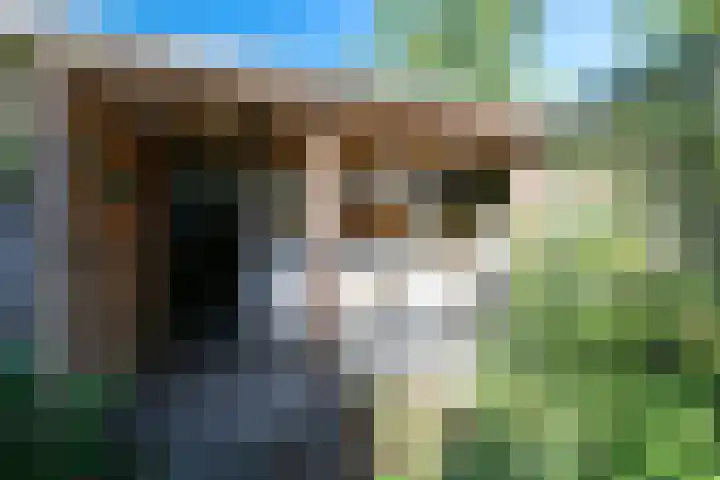 Groot Middendorp 7 Hoevelaken thumbnail 34