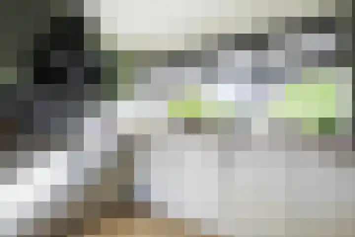 Groot Middendorp 7 Hoevelaken thumbnail 8