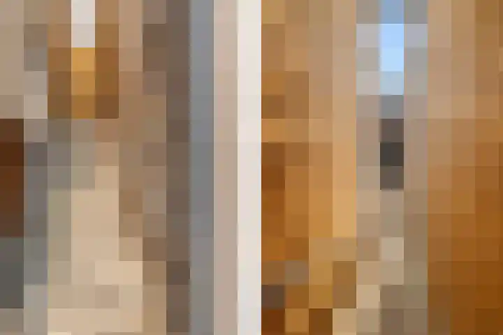 Groot Schavernek 7 c Leeuwarden thumbnail 16