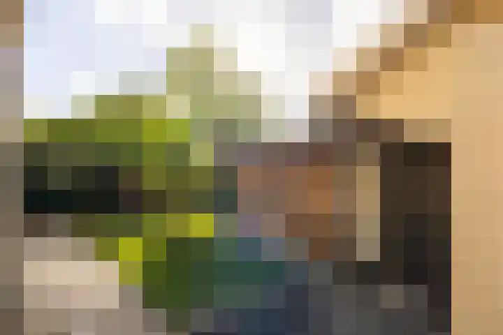 Groot Veldsweer 129 Hardinxveld-Giessendam thumbnail 31