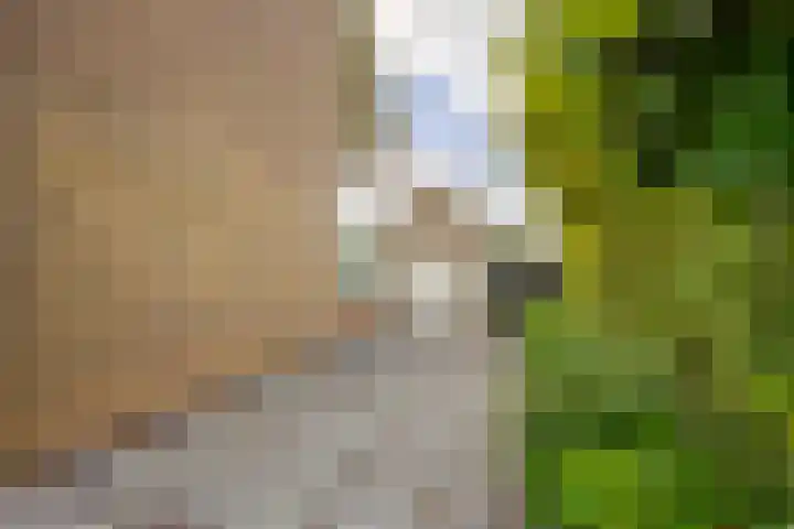 Groot Veldsweer 129 Hardinxveld-Giessendam thumbnail 34