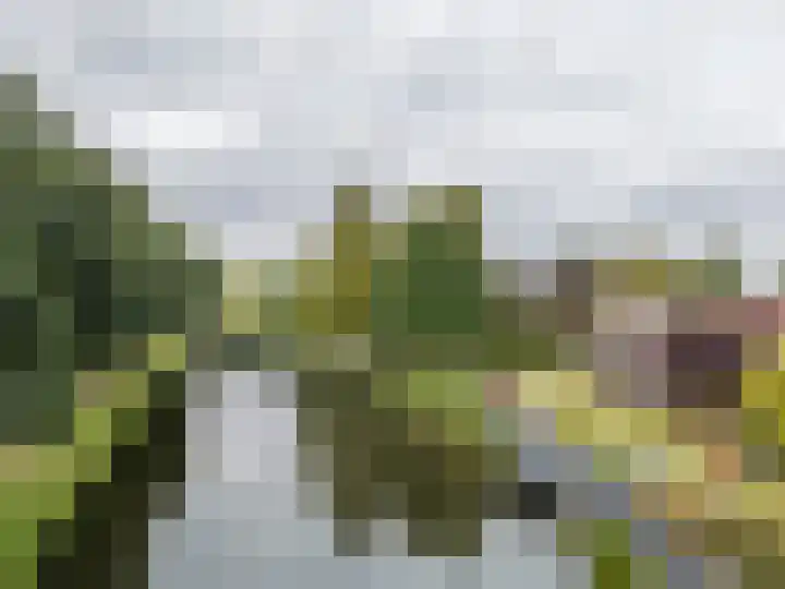 Groot Veldsweer 27 Hardinxveld-Giessendam thumbnail 33