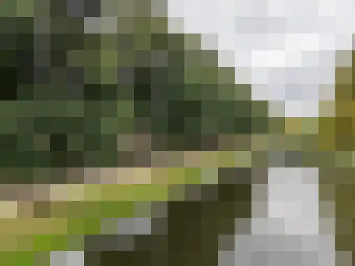 Groot Veldsweer 27 Hardinxveld-Giessendam thumbnail 34