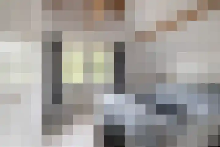 Groot Verréhof 17 Tholen thumbnail 29