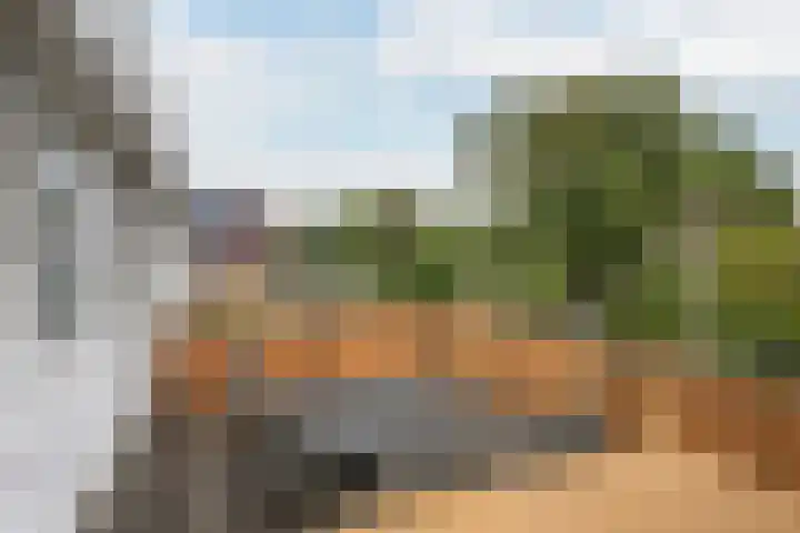 Groot Verréhof 17 Tholen thumbnail 31