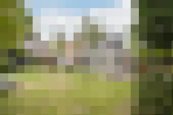 Groot Verréhof 17 Tholen thumbnail 4