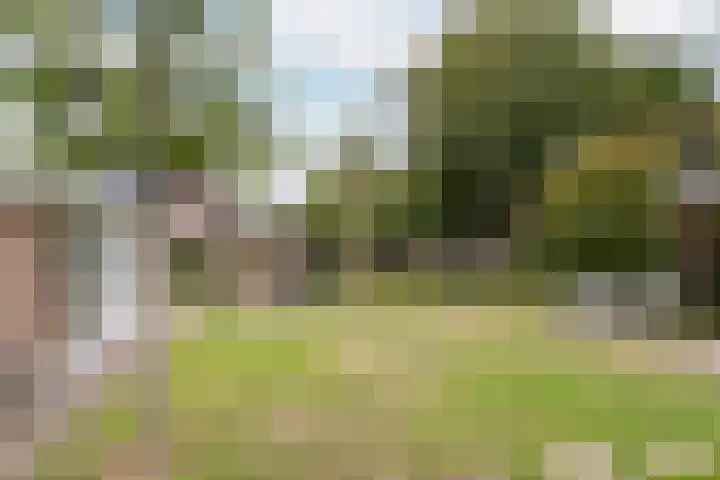 Groot Verréhof 17 Tholen thumbnail 44