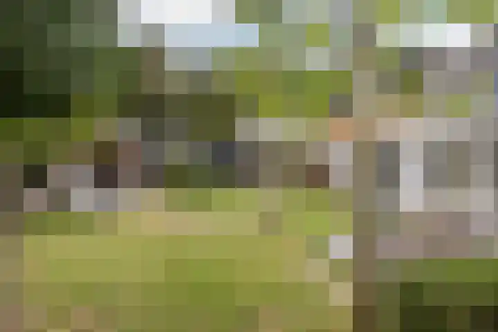 Groot Verréhof 17 Tholen thumbnail 47