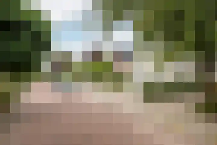 Groot Verréhof 17 Tholen thumbnail 52