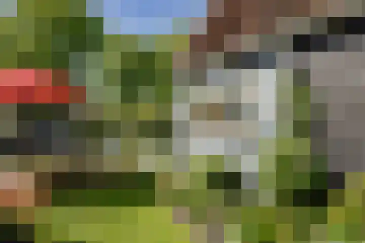 Groot Westerbuiten 19 Edam thumbnail 29
