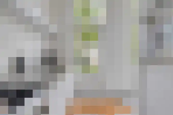 Groot Westerbuiten 24 Edam thumbnail 13