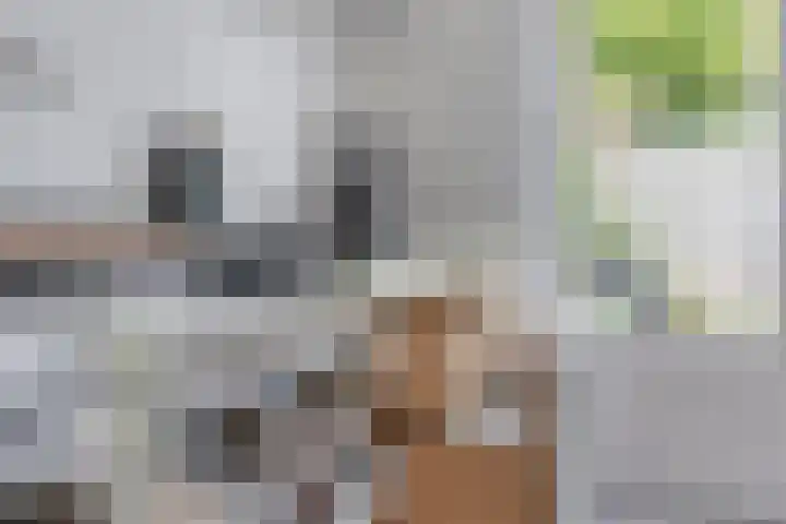 Groot Westerbuiten 24 Edam thumbnail 14
