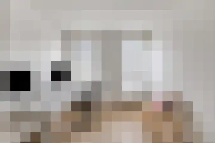 Groot Westerbuiten 24 Edam thumbnail 20