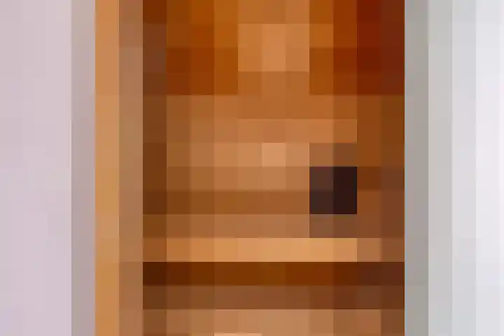 Groot Westerbuiten 24 Edam thumbnail 27