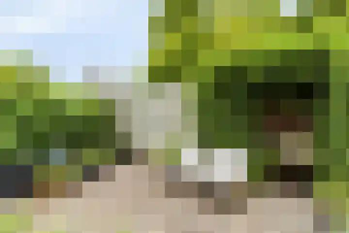 Groot Westerbuiten 24 Edam thumbnail 29
