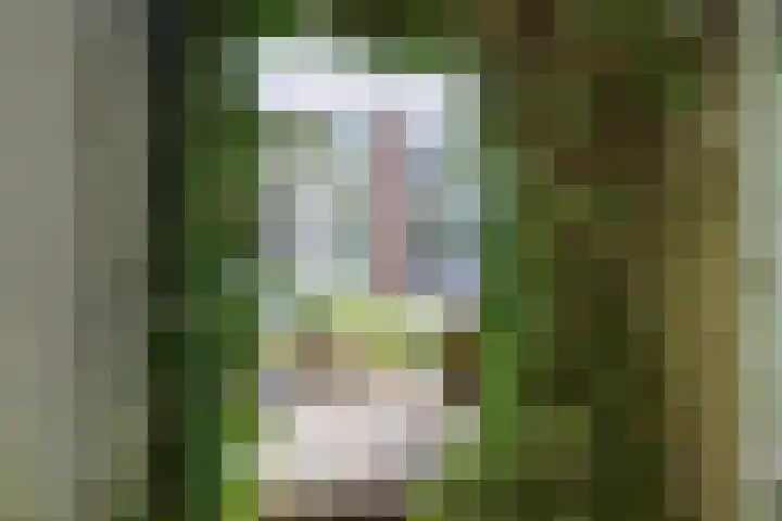 Groot Westerbuiten 24 Edam thumbnail 30