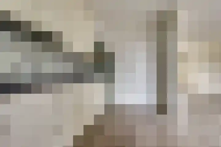 Groot-Zuideveld 112 Dussen thumbnail 14