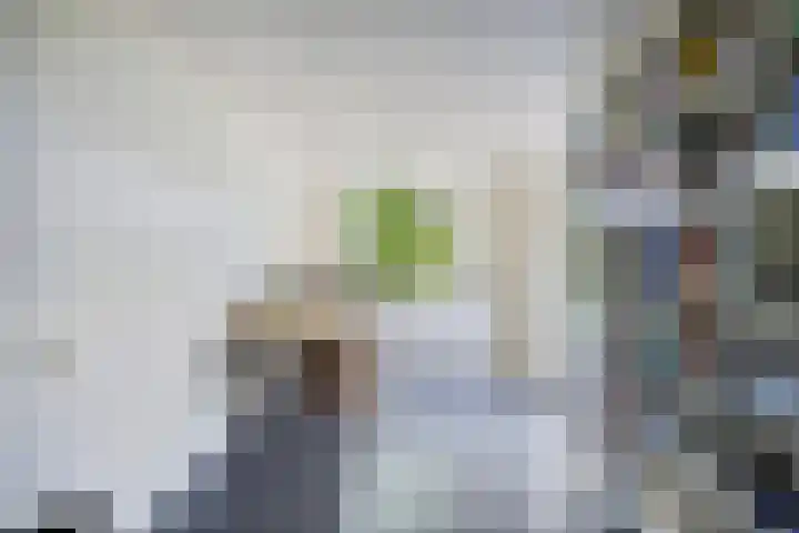 Groot-Zuideveld 35 Dussen thumbnail 16