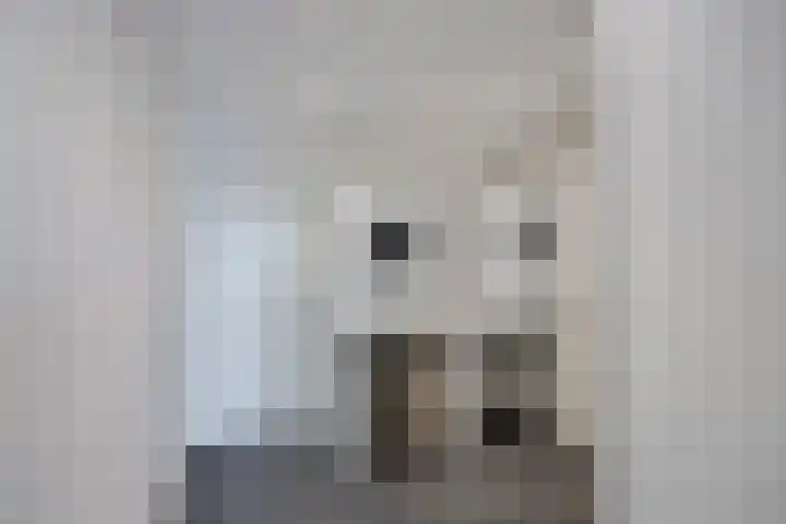 Groot-Zuideveld 35 Dussen thumbnail 18