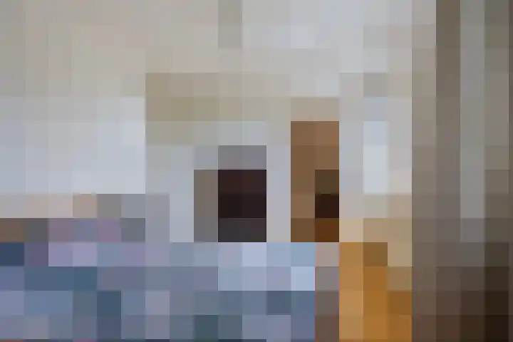 Groot-Zuideveld 35 Dussen thumbnail 22