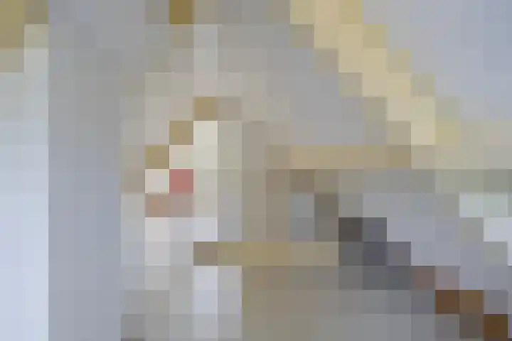 Groot-Zuideveld 35 Dussen thumbnail 33