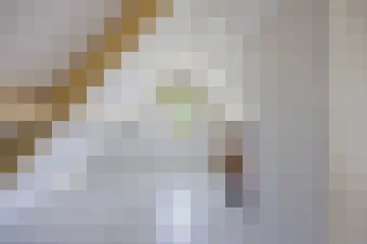 Groot-Zuideveld 35 Dussen thumbnail 34