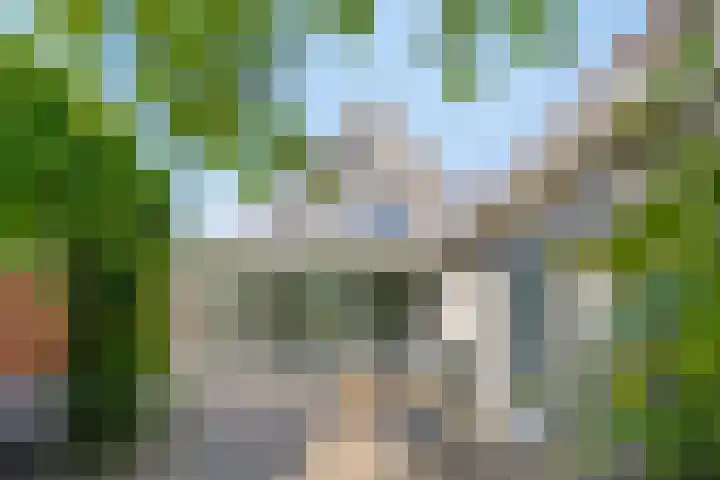 Groot-Zuideveld 35 Dussen thumbnail 36