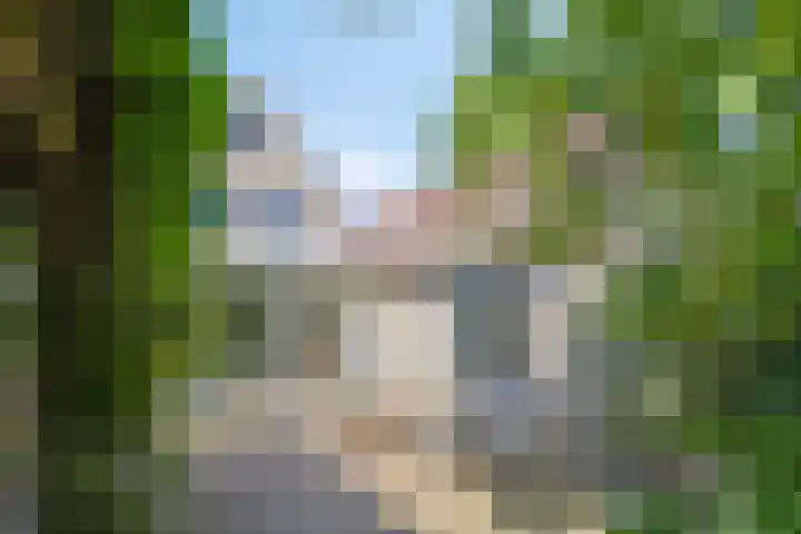 Groot-Zuideveld 35 Dussen thumbnail 37
