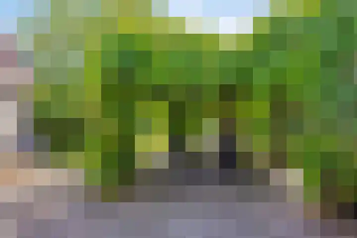 Groot-Zuideveld 35 Dussen thumbnail 39