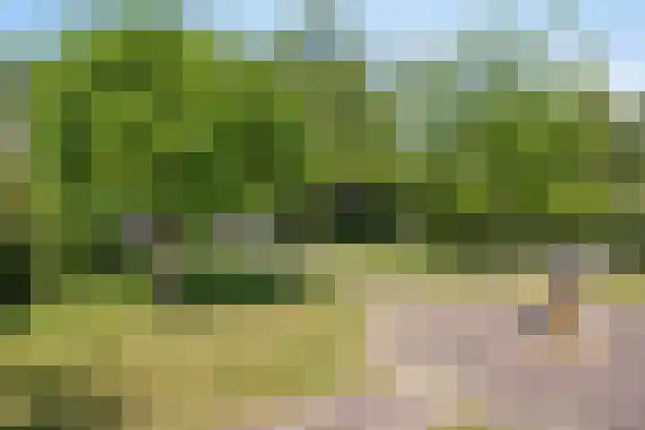Groot-Zuideveld 35 Dussen thumbnail 44