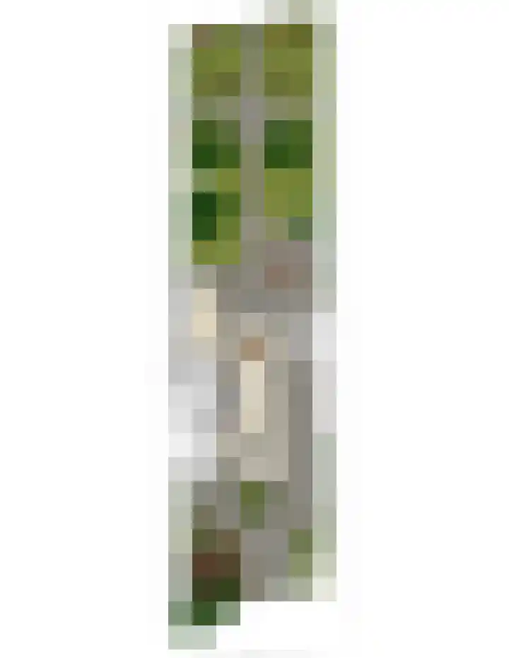 Groot-Zuideveld 35 Dussen thumbnail 45