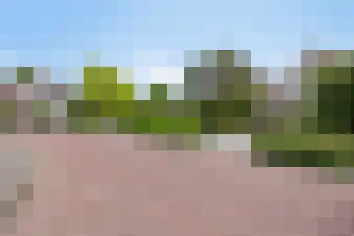 Groot-Zuideveld 35 Dussen thumbnail 46