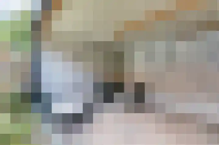 Grootdorp 33 A Merselo thumbnail 43