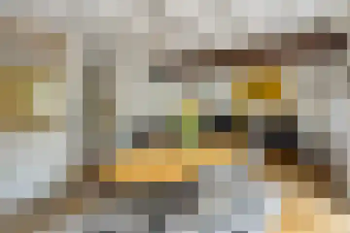 Grootdorp 65 Merselo thumbnail 10