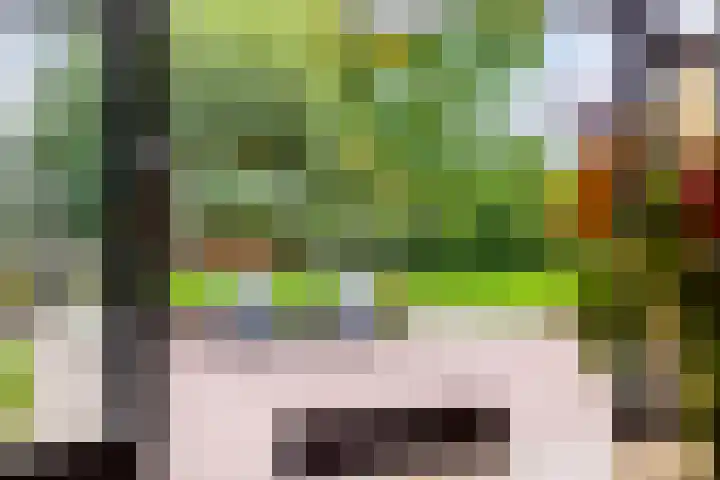 Grootdorp 65 Merselo thumbnail 15