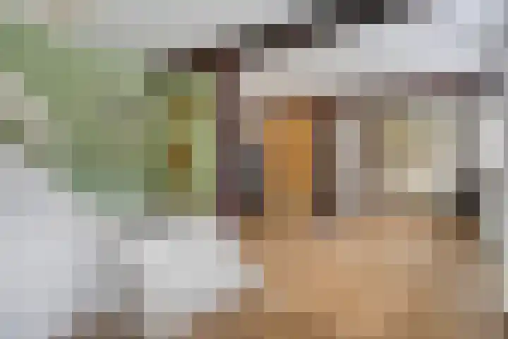 Grootdorp 65 Merselo thumbnail 16