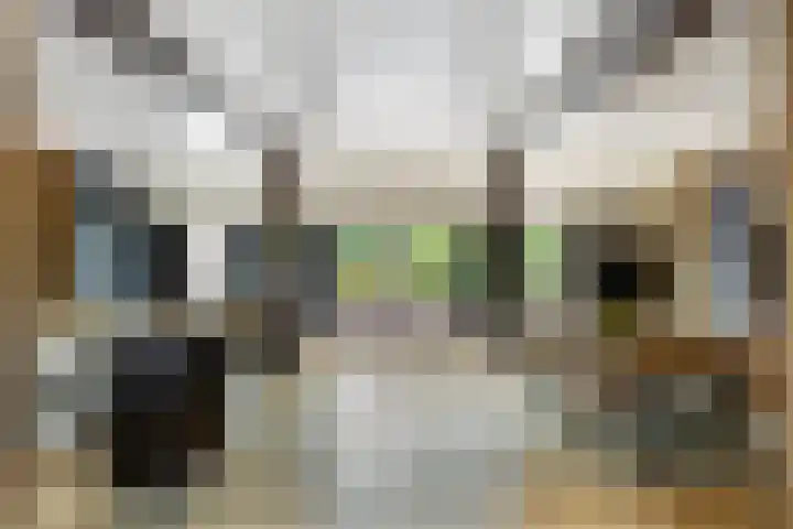 Grootdorp 65 Merselo thumbnail 18
