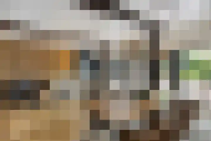 Grootdorp 65 Merselo thumbnail 19