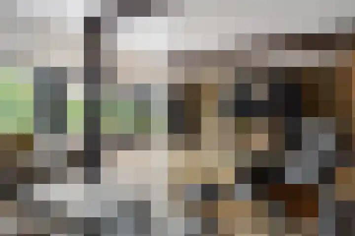 Grootdorp 65 Merselo thumbnail 20