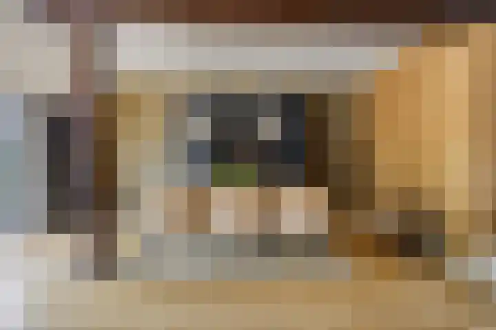 Grootdorp 65 Merselo thumbnail 22