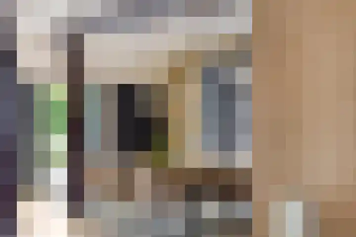 Grootdorp 65 Merselo thumbnail 27