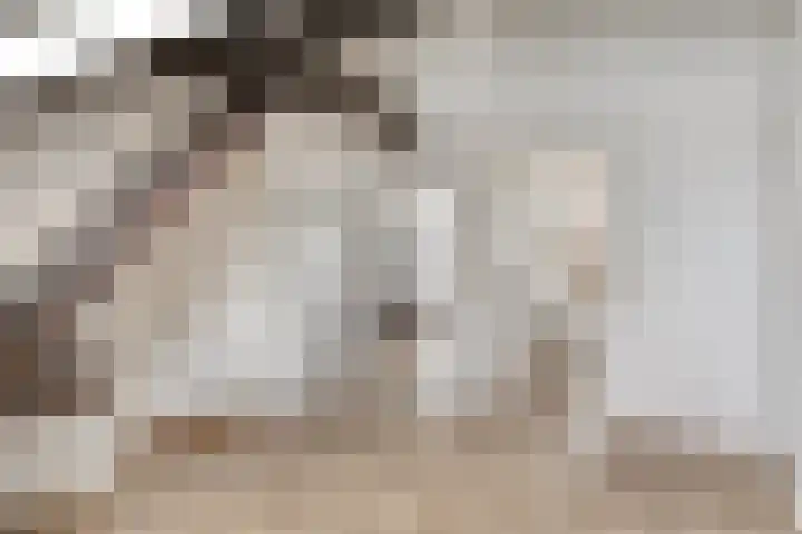 Grootdorp 65 Merselo thumbnail 32