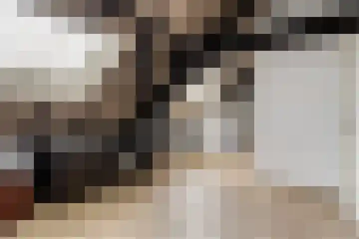 Grootdorp 65 Merselo thumbnail 33