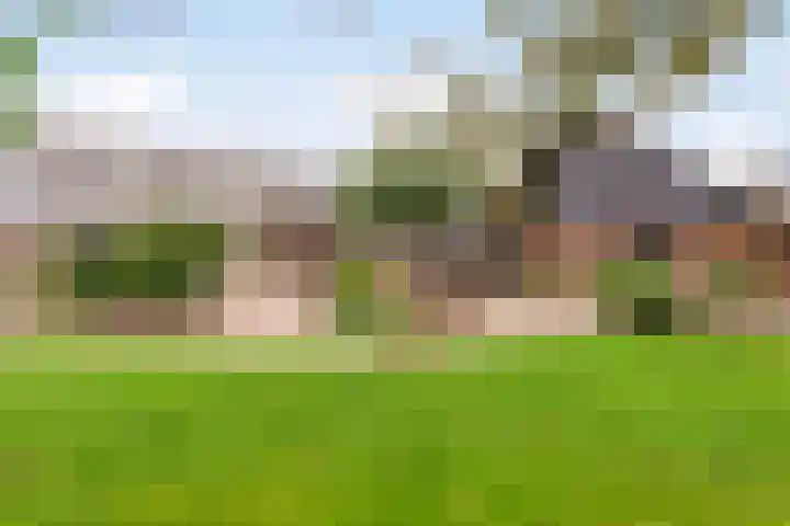 Grootdorp 65 Merselo thumbnail 43