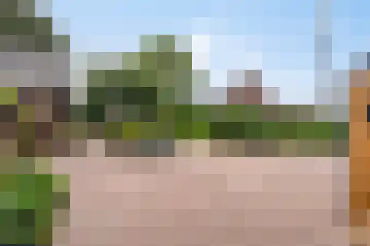 Grootdorp 65 Merselo thumbnail 44