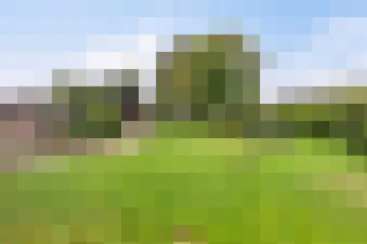 Grootdorp 65 Merselo thumbnail 45