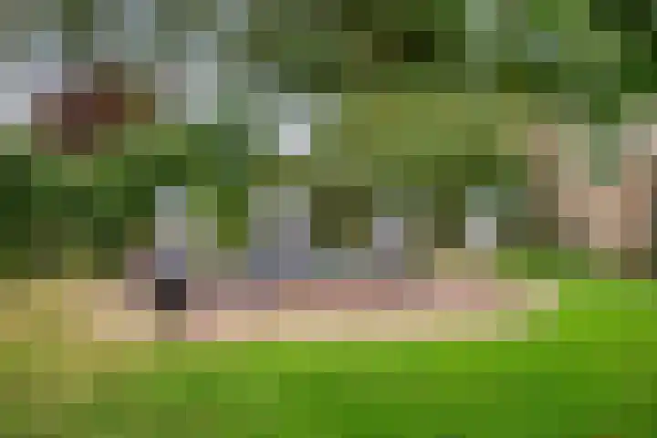 Grootdorp 65 Merselo thumbnail 46